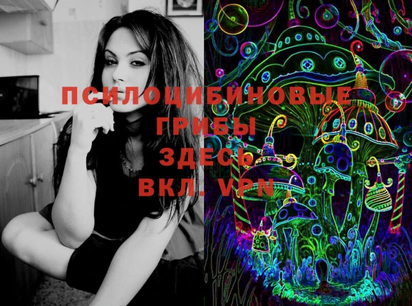 метадон Богородицк