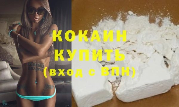 твердый Богданович