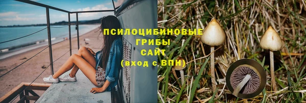 твердый Богданович