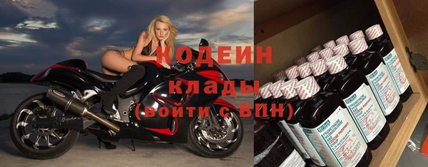 гашик Богородск